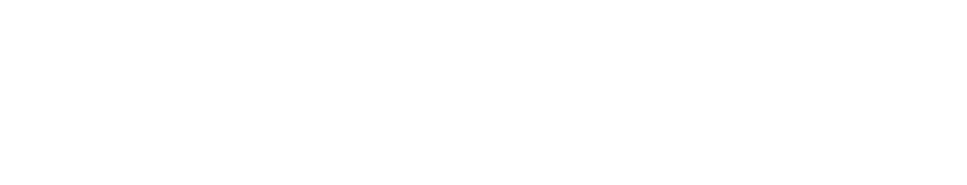Dorado SEO Service & Websites, Jacksonville, FL 32224